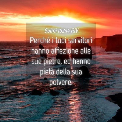 Picture 04 - Salmi 102:14 RIV - Perché i tuoi servitori hanno affezione alle sue - Bible Verse Picture