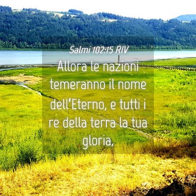 Picture 04 - Salmi 102:15 RIV - Allora le nazioni temeranno il nome - Bible Verse Picture