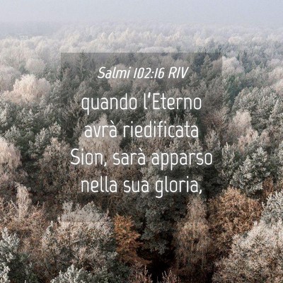 Picture 04 - Salmi 102:16 RIV - quando l’Eterno avrà riedificata Sion, sarà - Bible Verse Picture