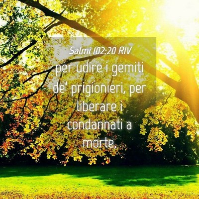 Picture 04 - Salmi 102:20 RIV - per udire i gemiti de’ prigionieri, per - Bible Verse Picture