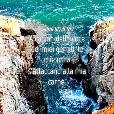 Picture 04 - Salmi 102:5 RIV - A cagion della voce dei miei gemiti, le mie ossa - Bible Verse Picture