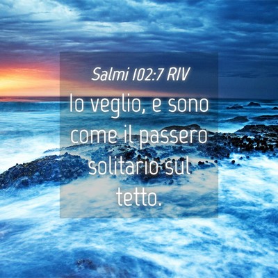 Picture 04 - Salmi 102:7 RIV - Io veglio, e sono come il passero solitario sul - Bible Verse Picture
