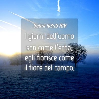 Picture 04 - Salmi 103:15 RIV - I giorni dell’uomo son come l’erba; egli - Bible Verse Picture