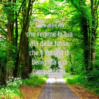 Picture 04 - Salmi 103:4 RIV - che redime la tua vita dalla fossa, che ti corona - Bible Verse Picture