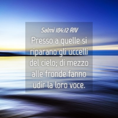 Picture 04 - Salmi 104:12 RIV - Presso a quelle si riparano gli uccelli del - Bible Verse Picture