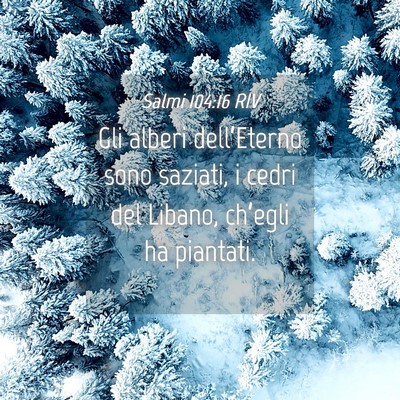 Picture 04 - Salmi 104:16 RIV - Gli alberi dell’Eterno sono saziati, i cedri - Bible Verse Picture