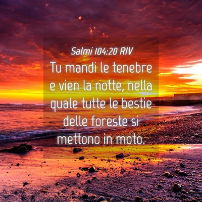 Picture 04 - Salmi 104:20 RIV - Tu mandi le tenebre e vien la notte, nella quale - Bible Verse Picture