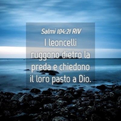 Picture 04 - Salmi 104:21 RIV - I leoncelli ruggono dietro la preda e chiedono il - Bible Verse Picture