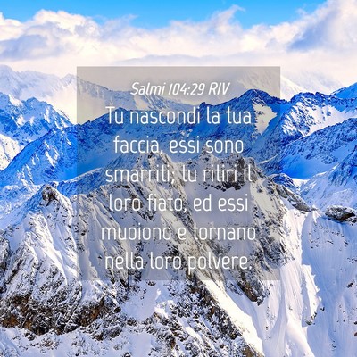Picture 04 - Salmi 104:29 RIV - Tu nascondi la tua faccia, essi sono smarriti; tu - Bible Verse Picture