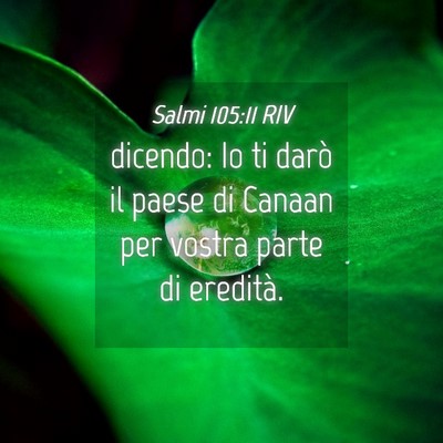 Picture 04 - Salmi 105:11 RIV - dicendo: Io ti darò il paese di Canaan per - Bible Verse Picture