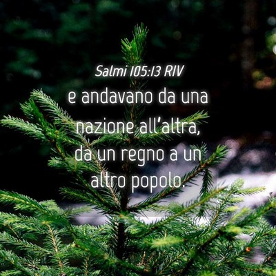 Picture 04 - Salmi 105:13 RIV - e andavano da una nazione all’altra, da un - Bible Verse Picture
