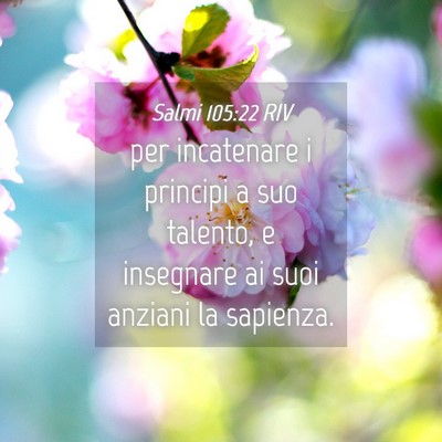 Picture 04 - Salmi 105:22 RIV - per incatenare i principi a suo talento, e - Bible Verse Picture