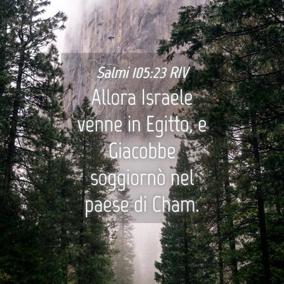 Picture 04 - Salmi 105:23 RIV - Allora Israele venne in Egitto, e Giacobbe - Bible Verse Picture