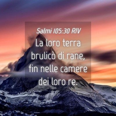 Picture 04 - Salmi 105:30 RIV - La loro terra brulicò di rane, fin nelle camere - Bible Verse Picture