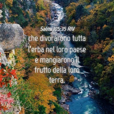 Picture 04 - Salmi 105:35 RIV - che divorarono tutta l’erba nel loro paese e - Bible Verse Picture