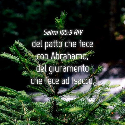 Picture 04 - Salmi 105:9 RIV - del patto che fece con Abrahamo, del giuramento - Bible Verse Picture