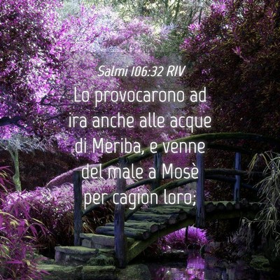 Picture 04 - Salmi 106:32 RIV - Lo provocarono ad ira anche alle acque di Meriba, - Bible Verse Picture