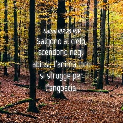 Picture 04 - Salmi 107:26 RIV - Salgono al cielo, scendono negli abissi; - Bible Verse Picture