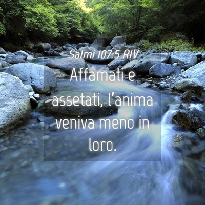 Picture 04 - Salmi 107:5 RIV - Affamati e assetati, l’anima veniva meno in - Bible Verse Picture