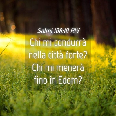 Picture 04 - Salmi 108:10 RIV - Chi mi condurrà nella città forte? Chi mi - Bible Verse Picture