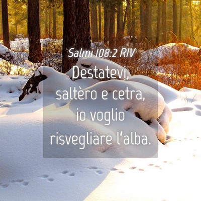 Picture 04 - Salmi 108:2 RIV - Destatevi, saltèro e cetra, io voglio - Bible Verse Picture