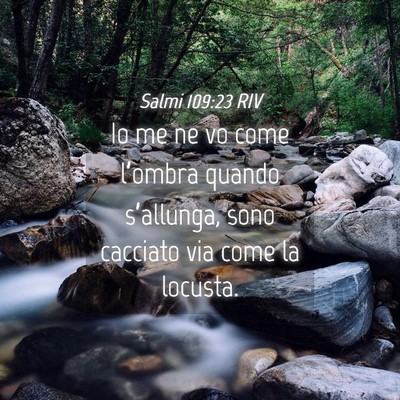 Picture 04 - Salmi 109:23 RIV - Io me ne vo come l’ombra quando s’allunga, - Bible Verse Picture