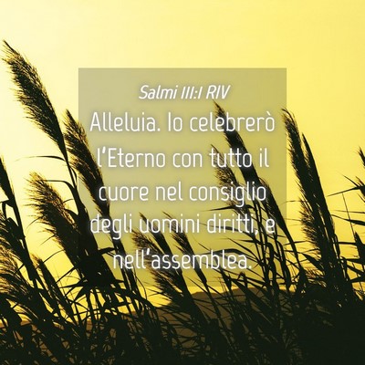 Picture 04 - Salmi 111:1 RIV - Alleluia. Io celebrerò l’Eterno con tutto il - Bible Verse Picture