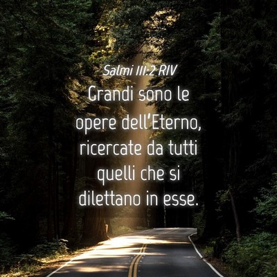 Picture 04 - Salmi 111:2 RIV - Grandi sono le opere dell’Eterno, ricercate da - Bible Verse Picture