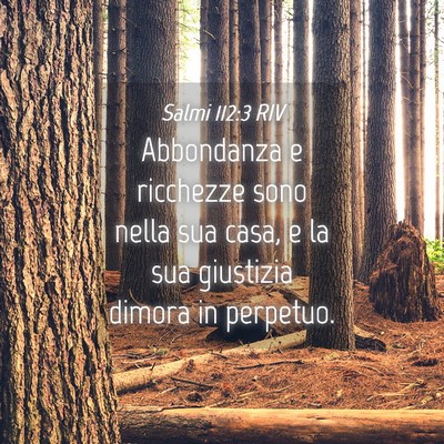 Picture 04 - Salmi 112:3 RIV - Abbondanza e ricchezze sono nella sua casa, e la - Bible Verse Picture