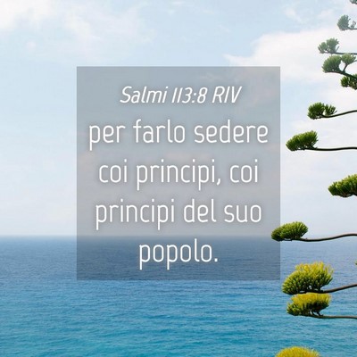 Picture 04 - Salmi 113:8 RIV - per farlo sedere coi principi, coi principi del - Bible Verse Picture