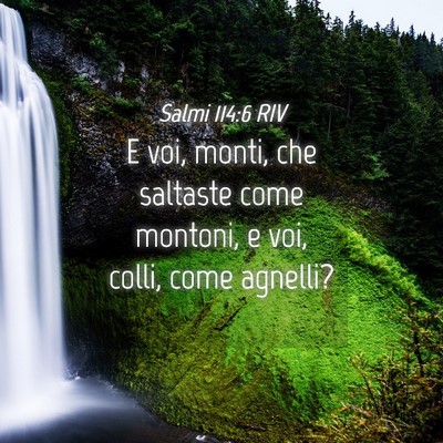 Picture 04 - Salmi 114:6 RIV - E voi, monti, che saltaste come montoni, e voi, - Bible Verse Picture