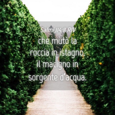 Picture 04 - Salmi 114:8 RIV - che mutò la roccia in istagno, il macigno in - Bible Verse Picture