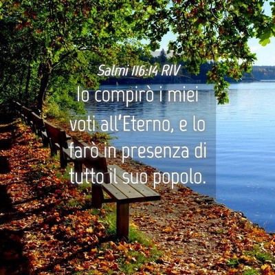 Picture 04 - Salmi 116:14 RIV - Io compirò i miei voti all’Eterno, e lo farò - Bible Verse Picture