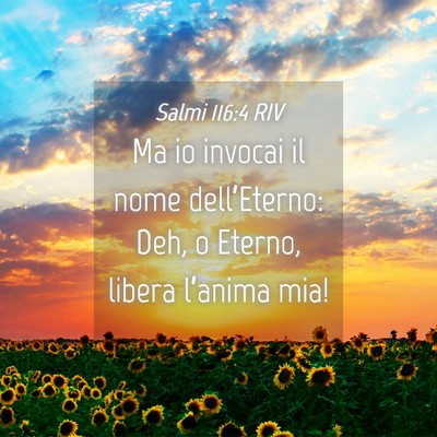 Picture 04 - Salmi 116:4 RIV - Ma io invocai il nome dell’Eterno: Deh, o - Bible Verse Picture