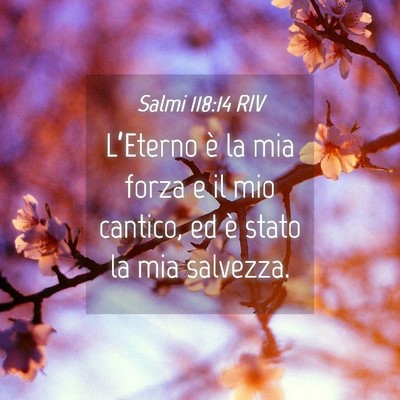 Picture 04 - Salmi 118:14 RIV - L’Eterno è la mia forza e il mio cantico, ed - Bible Verse Picture