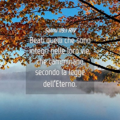 Picture 04 - Salmi 119:1 RIV - Beati quelli che sono integri nelle loro vie, che - Bible Verse Picture