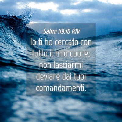 Picture 04 - Salmi 119:10 RIV - Io ti ho cercato con tutto il mio cuore; non - Bible Verse Picture