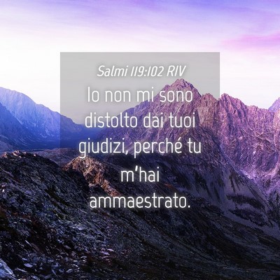 Picture 04 - Salmi 119:102 RIV - Io non mi sono distolto dai tuoi giudizi, perché - Bible Verse Picture