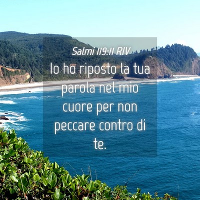 Picture 04 - Salmi 119:11 RIV - Io ho riposto la tua parola nel mio cuore per non - Bible Verse Picture