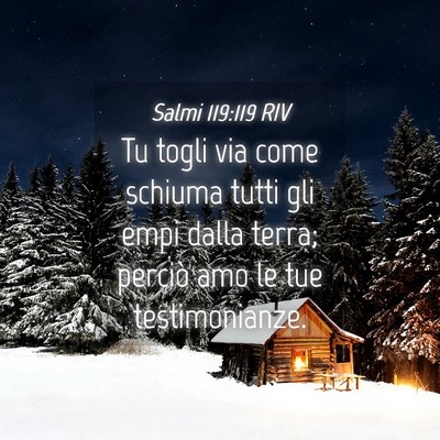Picture 04 - Salmi 119:119 RIV - Tu togli via come schiuma tutti gli empi dalla - Bible Verse Picture