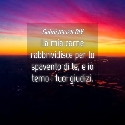 Picture 04 - Salmi 119:120 RIV - La mia carne rabbrividisce per lo spavento di te, - Bible Verse Picture
