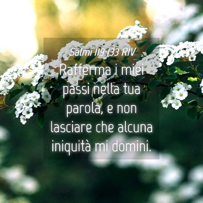 Picture 04 - Salmi 119:133 RIV - Rafferma i miei passi nella tua parola, e non - Bible Verse Picture