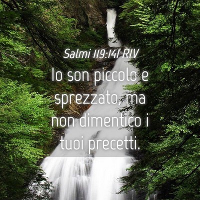 Picture 04 - Salmi 119:141 RIV - Io son piccolo e sprezzato, ma non dimentico i - Bible Verse Picture