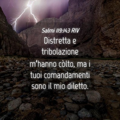Picture 04 - Salmi 119:143 RIV - Distretta e tribolazione m’hanno còlto, ma i - Bible Verse Picture