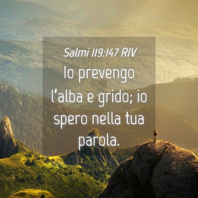 Picture 04 - Salmi 119:147 RIV - Io prevengo l’alba e grido; io spero nella tua - Bible Verse Picture