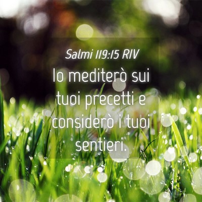 Picture 04 - Salmi 119:15 RIV - Io mediterò sui tuoi precetti e considerò i - Bible Verse Picture
