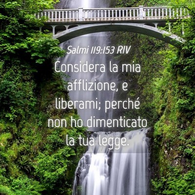 Picture 04 - Salmi 119:153 RIV - Considera la mia afflizione, e liberami; perché - Bible Verse Picture