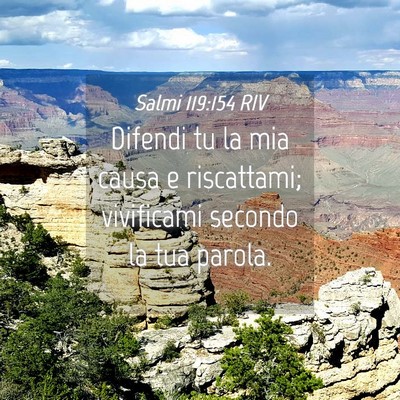 Picture 04 - Salmi 119:154 RIV - Difendi tu la mia causa e riscattami; vivificami - Bible Verse Picture