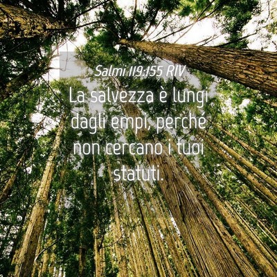 Picture 04 - Salmi 119:155 RIV - La salvezza è lungi dagli empi, perché non - Bible Verse Picture