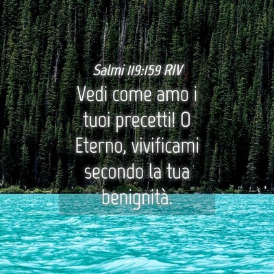 Picture 04 - Salmi 119:159 RIV - Vedi come amo i tuoi precetti! O Eterno, - Bible Verse Picture